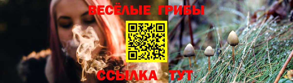 Полысаево  Псилоцибиновые грибы прущие грибы  Вход с VPN 